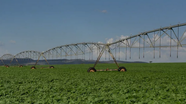 PIB do agronegócio do Brasil cresce 5,26% no 1º semestre, diz CNA